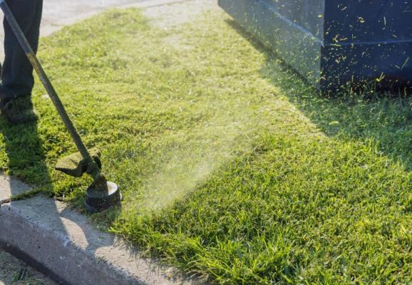 Tonte de pelouse : la clé d'un gazon vert et dense pour votre jardin à Guérande