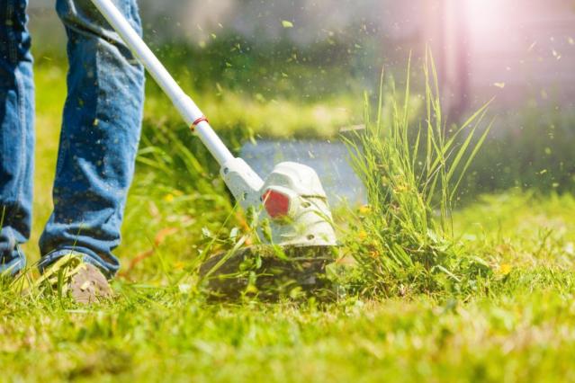 Débroussaillage : une intervention essentielle pour les zones difficiles d'accès